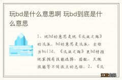 玩bd是什么意思啊 玩bd到底是什么意思