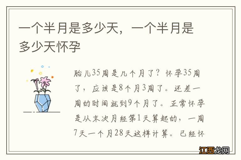一个半月是多少天,一个半月是多少天怀孕