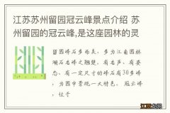 江苏苏州留园冠云峰景点介绍 苏州留园的冠云峰,是这座园林的灵魂