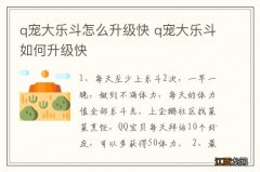 q宠大乐斗怎么升级快 q宠大乐斗如何升级快