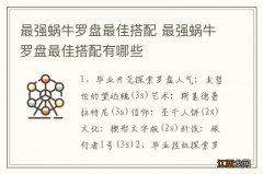 最强蜗牛罗盘最佳搭配 最强蜗牛罗盘最佳搭配有哪些