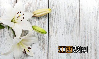 香水百合的种植方法与注意事项 香水百合的养殖方法和注意事项有哪些