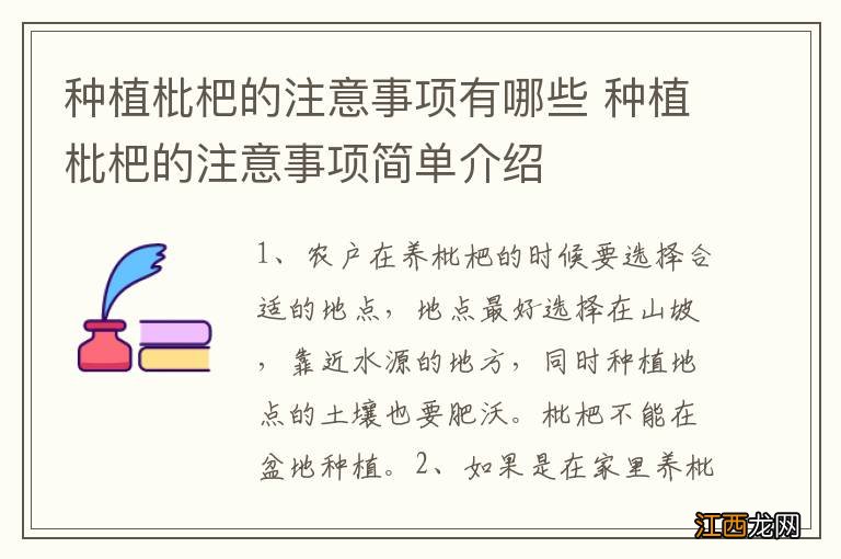 种植枇杷的注意事项有哪些 种植枇杷的注意事项简单介绍