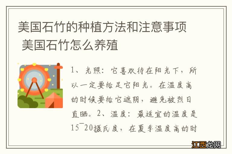 美国石竹的种植方法和注意事项 美国石竹怎么养殖