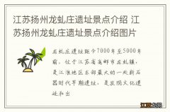 江苏扬州龙虬庄遗址景点介绍 江苏扬州龙虬庄遗址景点介绍图片