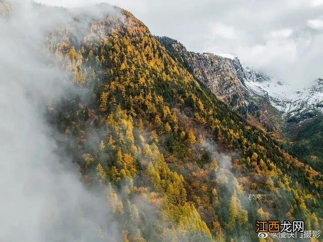 墨脱多雄拉雪山层林尽染如披上五彩衣