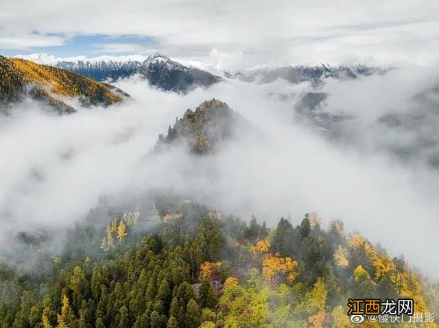 墨脱多雄拉雪山层林尽染如披上五彩衣