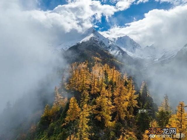 墨脱多雄拉雪山层林尽染如披上五彩衣