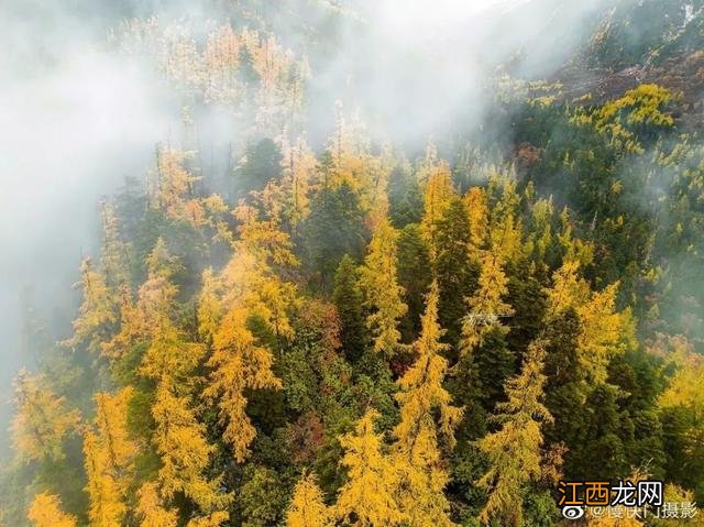 墨脱多雄拉雪山层林尽染如披上五彩衣