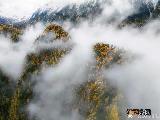 墨脱多雄拉雪山层林尽染如披上五彩衣