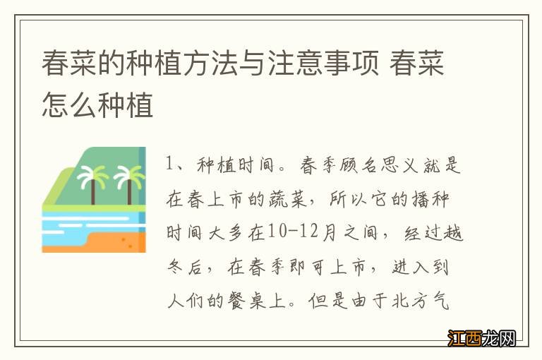 春菜的种植方法与注意事项 春菜怎么种植