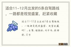 适合11-12月出发的5条自驾路线，一路都是视觉盛宴，赶紧收藏吧！