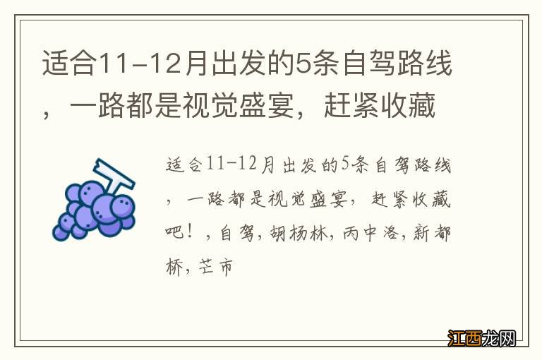 适合11-12月出发的5条自驾路线，一路都是视觉盛宴，赶紧收藏吧！