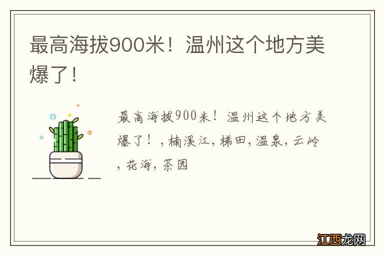 最高海拔900米！温州这个地方美爆了！