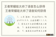 王者荣耀哇太帅了语音怎么获得 王者荣耀哇太帅了语音如何获得