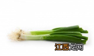 红葱种植方法和注意事项 红葱怎么种