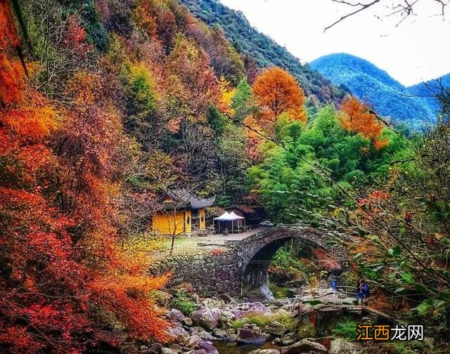 丹山赤水，处处皆是秋景