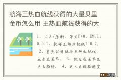 航海王热血航线获得的大量贝里金币怎么用 王热血航线获得的大量贝里金币如何用