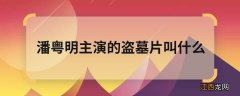 潘粤明主演的盗墓片叫什么 潘粤明主演了什么盗墓片