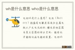 wh是什么意思 who是什么意思