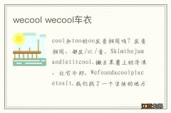 wecool wecool车衣