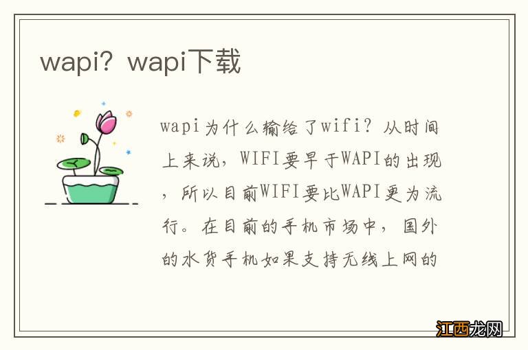 wapi？wapi下载