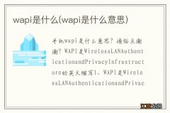 wapi是什么意思 wapi是什么