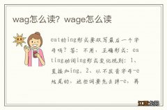 wag怎么读？wage怎么读