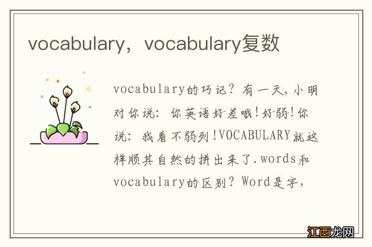 vocabulary，vocabulary复数