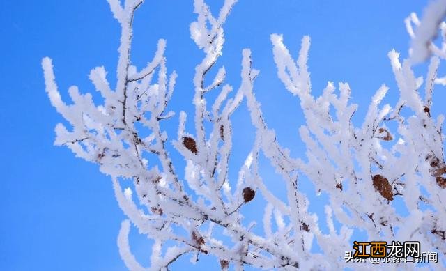 太美了！张家口康保现雪凇景观