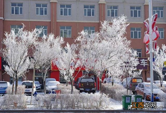 太美了！张家口康保现雪凇景观