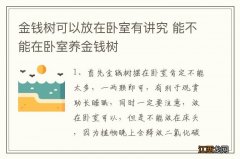 金钱树可以放在卧室有讲究 能不能在卧室养金钱树