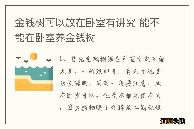 金钱树可以放在卧室有讲究 能不能在卧室养金钱树