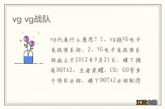 vg vg战队