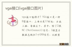 vga接口图片 vga接口