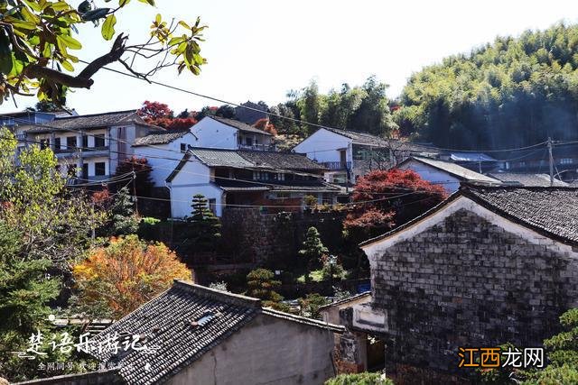 宁波这个古村盛产盆景，村外漫山红枫和黄叶，景色优美却少有人来