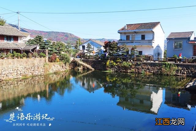 宁波这个古村盛产盆景，村外漫山红枫和黄叶，景色优美却少有人来