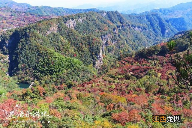 宁波这个古村盛产盆景，村外漫山红枫和黄叶，景色优美却少有人来