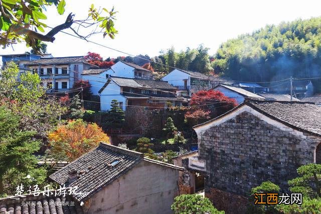 宁波这个古村盛产盆景，村外漫山红枫和黄叶，景色优美却少有人来