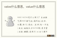 valve什么意思，value什么意思