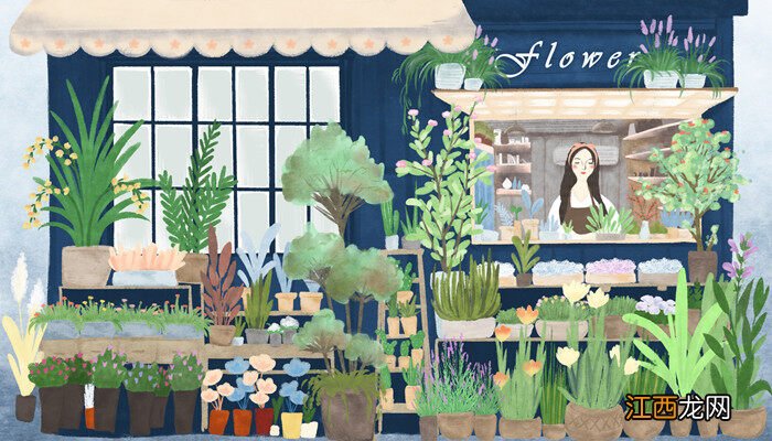 大花蕙兰用什么盆好看 大花蕙兰用什么盆好