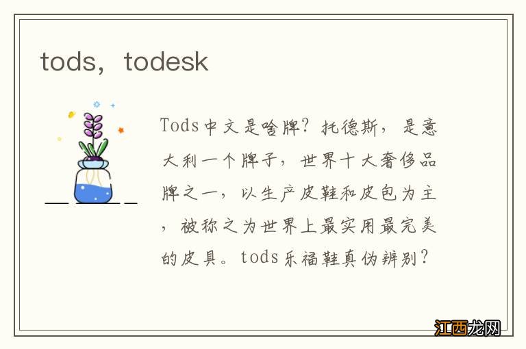 tods，todesk