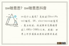 sw啥意思？sw啥意思抖音