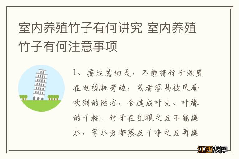 室内养殖竹子有何讲究 室内养殖竹子有何注意事项