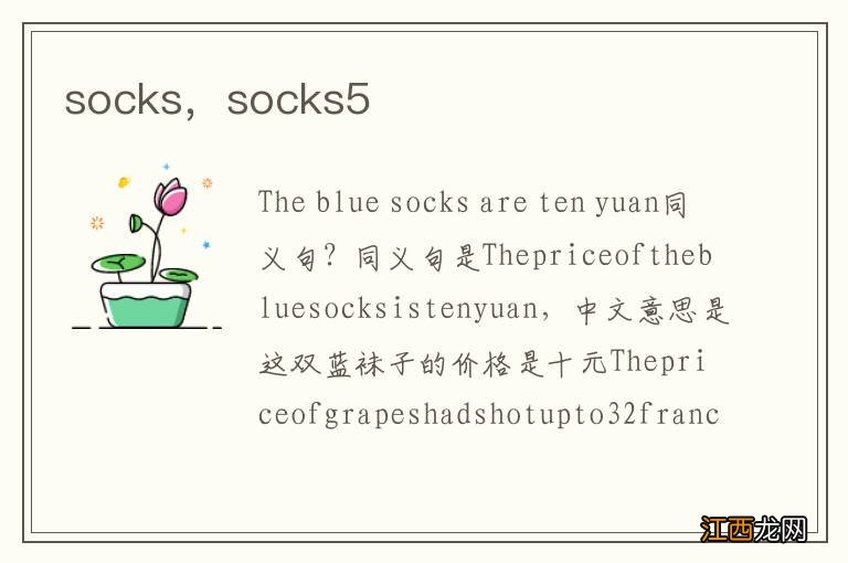 socks,socks5