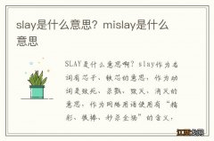 slay是什么意思？mislay是什么意思