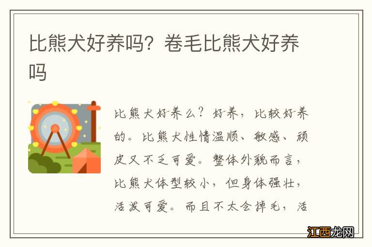 比熊犬好养吗?卷毛比熊犬好养吗