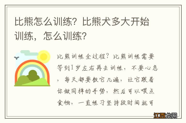 比熊怎么训练？比熊犬多大开始训练，怎么训练？