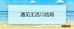 遇见王沥川结局 遇见王沥川结局是什么