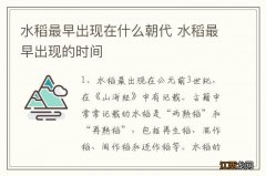 水稻最早出现在什么朝代 水稻最早出现的时间